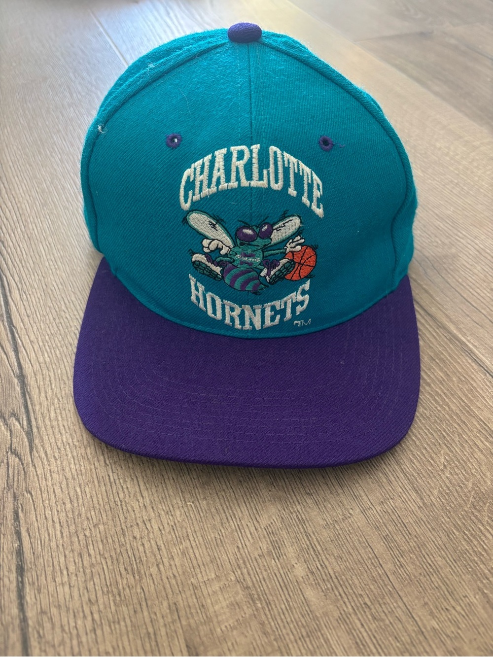 Mitchell & Ness Teal and Purple Charlotte Hornets Snapback Hat
